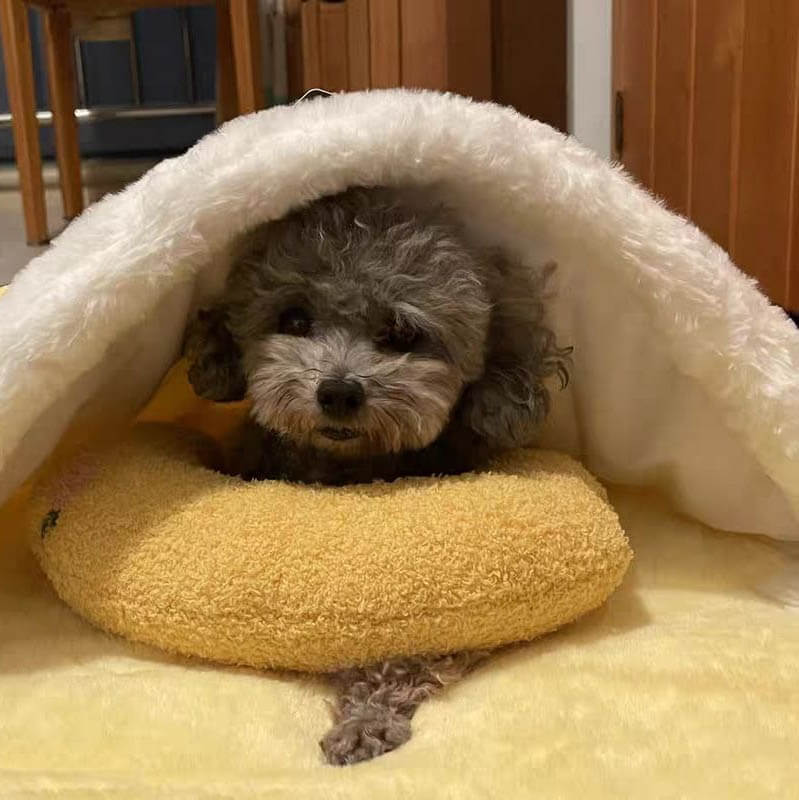 Sherum Pet Pillows - Image 3