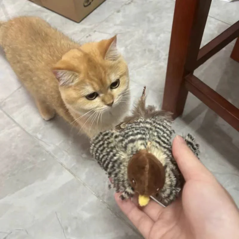 Sherum FeatherFun Flyer - Image 3