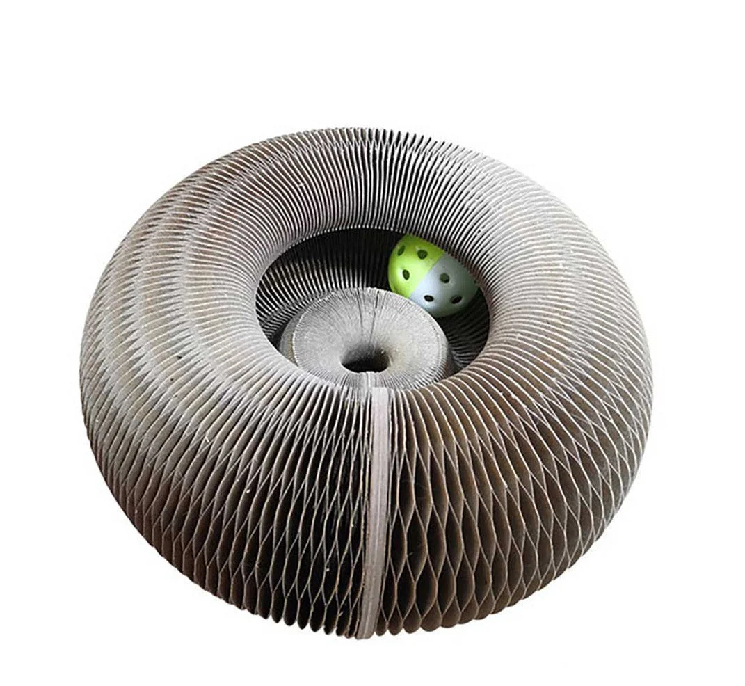 Sherum Magic Organ Cat Scratch Board. - Image 11