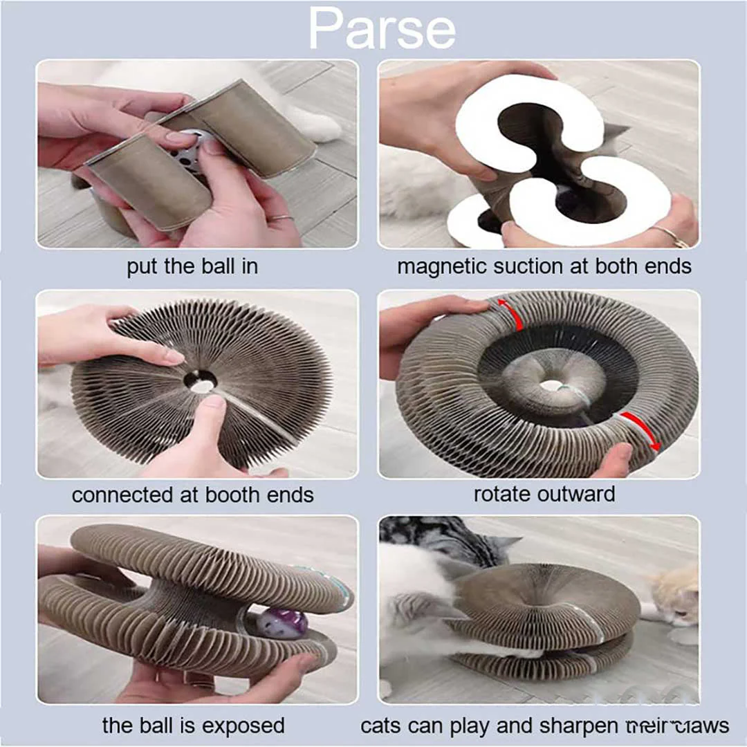 Sherum Magic Organ Cat Scratch Board. - Image 12