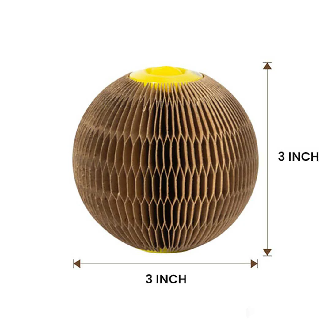 Sherum Magic Organ Cat Scratch Board. - Image 15