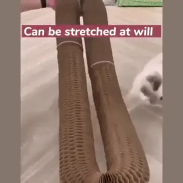 Sherum Magic Organ Cat Scratch Board. - Image 4