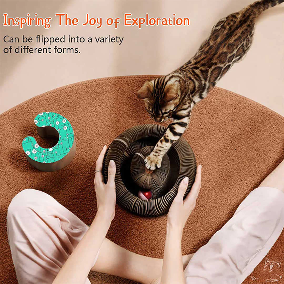 Sherum Magic Organ Cat Scratch Board. - Image 9